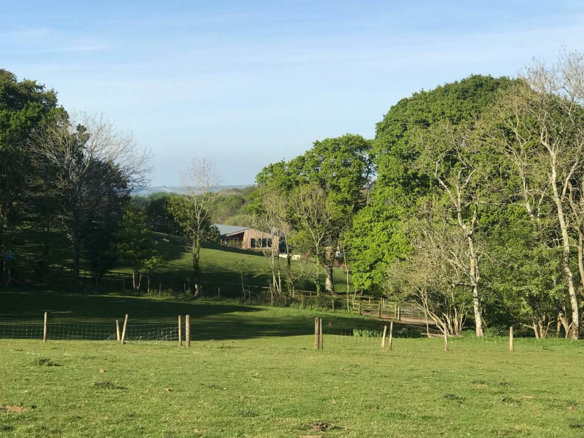 Godshill Park Barn Bed & Breakfast Ventnor Exterior photo